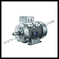 Industrial Motor